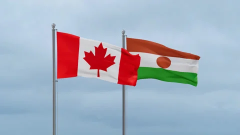 Niger national flag Video stock 252024876