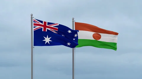 Niger national flag Stock-Footage 252129913