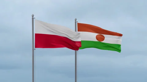 Niger national flag Stock Footage 252429432