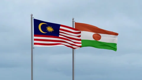 Niger national flag Video stock 253124145