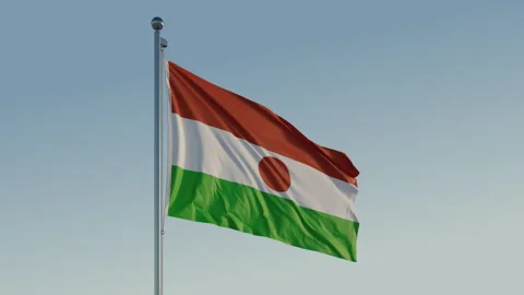 Niger Niamey Flag seamless loop Cinematic Realistic Waving Blue Sky 스톡 동영상 310013429