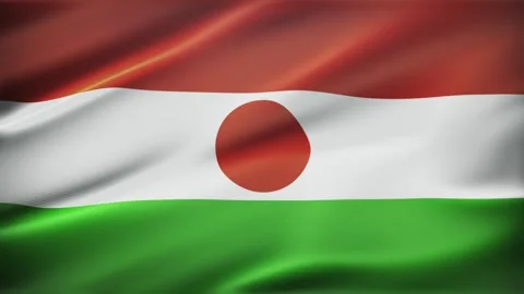 Niger Realistic Flag Wave Motion Background Stock Footage 337118337