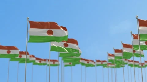 Niger Row Of Flags Animation Stock-Footage 148766330
