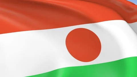 Niger Waving Flag Background Loop Stock Footage 317845109
