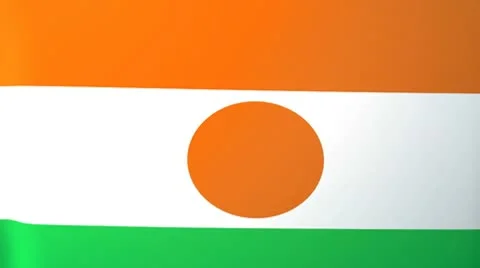 Niger Waving Flag Stock Footage 10762273