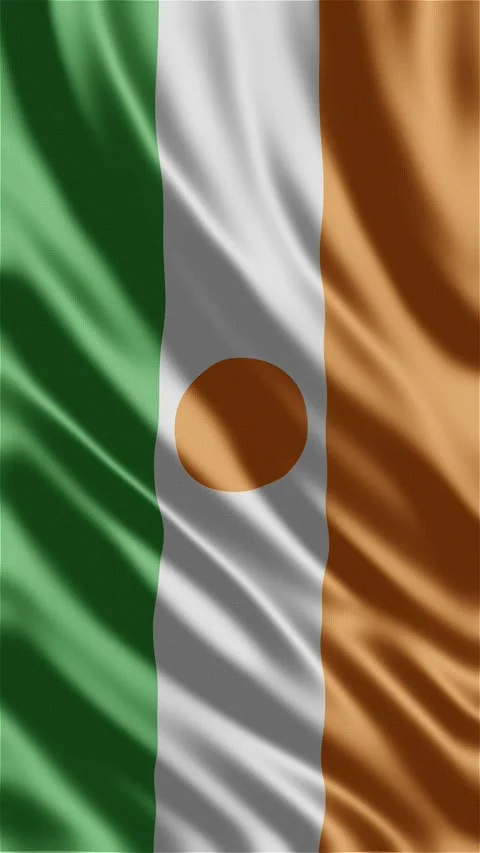 Niger waving flag Stock-Footage 288004414