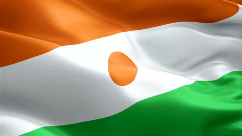 Niger waving flag. National 3d Nigerien flag waving. Sign of Niger seamless loop Stock Footage 128206972