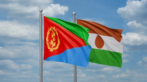 Niger waving flags Stock Footage 273057503
