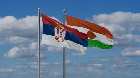 Niger waving flags Stock Footage 283472077