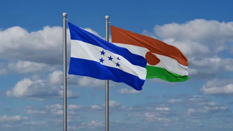 Niger waving flags Video stock 285684999