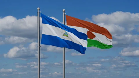 Niger waving flags Stock Footage 287717070