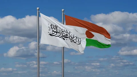 Niger waving flags Stock-Footage 287933386