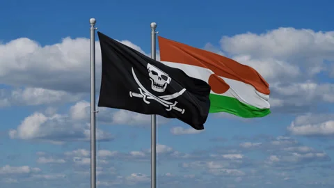 Niger waving flags Stock Footage 288376994