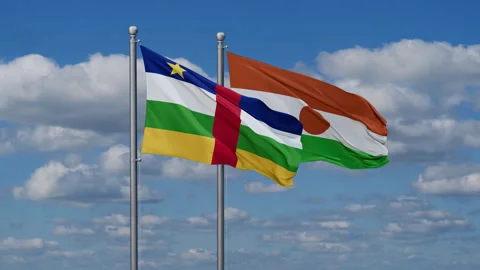 Niger waving flags Stock Footage 288582698