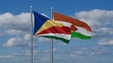 Niger waving flags Stock-Footage 288626456