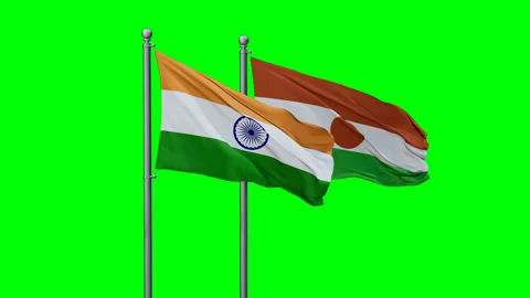 Niger waving flags Stock Footage 289641009