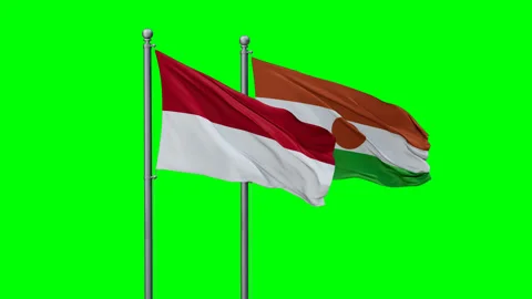 Niger waving flags Stock Footage 289641861