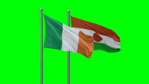 Niger waving flags Stock Footage 289643216