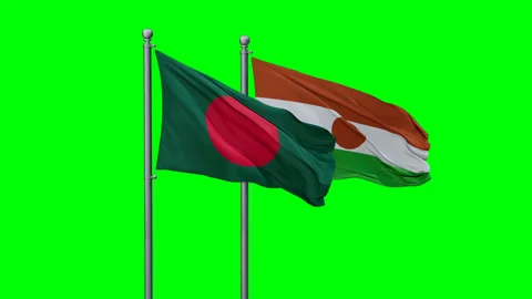 Niger waving flags Stock Footage 290031544