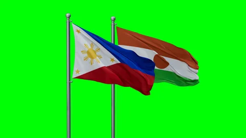 Niger waving flags Stock Footage 290057416