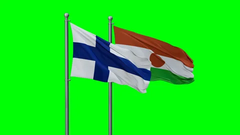 Niger waving flags Stock Footage 290412553