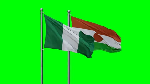Niger waving flags Video stock 291188689