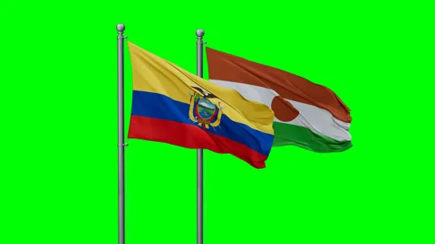 Niger waving flags Stock Footage 291473983