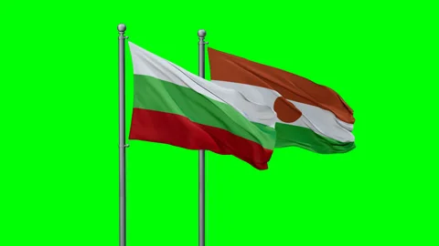 Niger waving flags Stock Footage 291849173