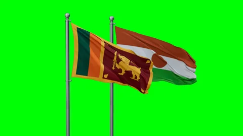 Niger waving flags Video stock 292818089