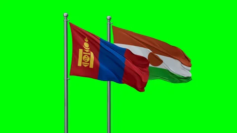 Niger waving flags Stock Footage 293734571