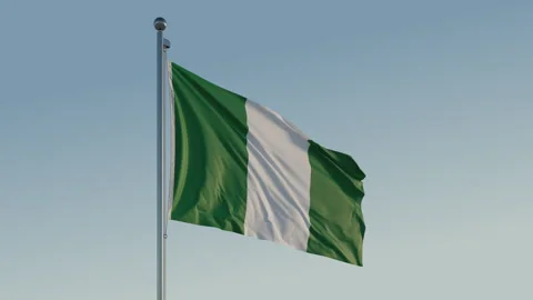 Nigeria Abuja Flag seamless loop Cinematic Realistic Waving Blue Sky Stock Footage 311779699