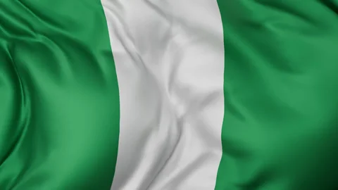 Nigeria cloth flag background loop Stock-Footage 310850182