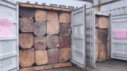 NIGERIA CUSTOM INTERCEPT CONTAINER OF UNPROCESSED WOOD Stock Footage 297208123