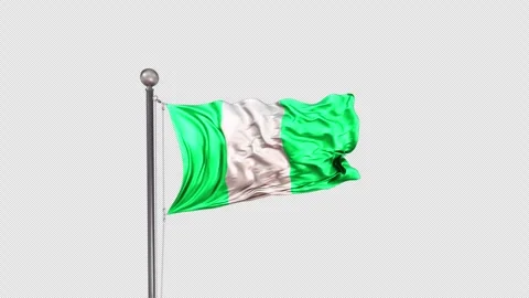 Nigeria Flag  Animation Loop Include Alpha 3D Rendering Stock Footage 312084379