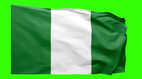 Nigeria Flag Animation – Seamless Loop (4K UHD) Stock Footage 318713110