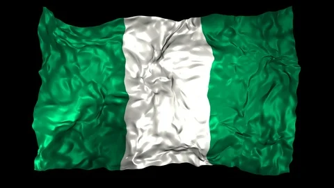Nigeria flag Stock Footage 110825395