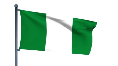 Nigeria Flag Stock Footage 150202893