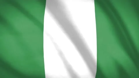 Nigeria Flag Stock Footage 188150597