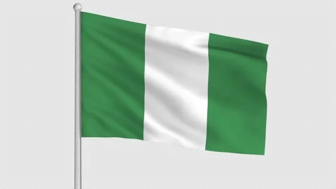 Nigeria Flag Stock Footage 212087629