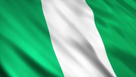 Nigeria Flag Stock Footage 249033458