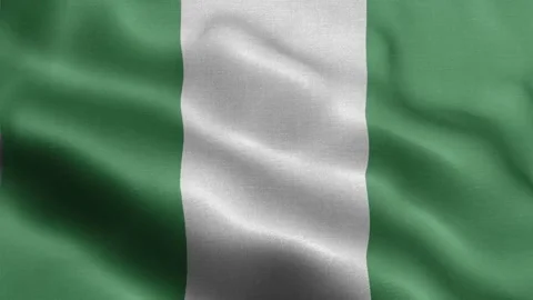 Nigeria flag Front Stock Footage 318667678