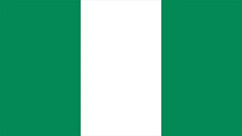 Nigeria flag 스톡 일러스트