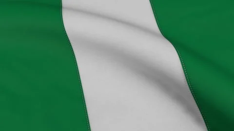Nigeria Flag Loop Stock Footage 241255085