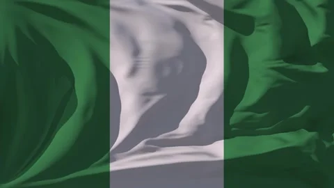 Nigeria Flag Loop Stock Footage 295733019