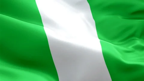 Nigeria flag Motion Loop video waving in wind. Realistic Nigerian Flag Stock Footage 128210668