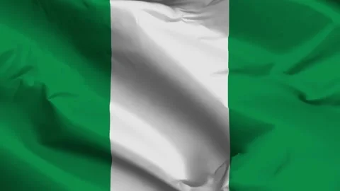 Nigeria flag moved by the wind Video stock 292446684