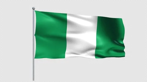 Nigeria flag - Pack 1 Stock Footage 339369486