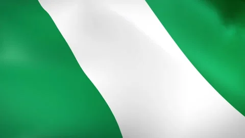 Nigeria flag - Pack 2 Stock Footage 339369503