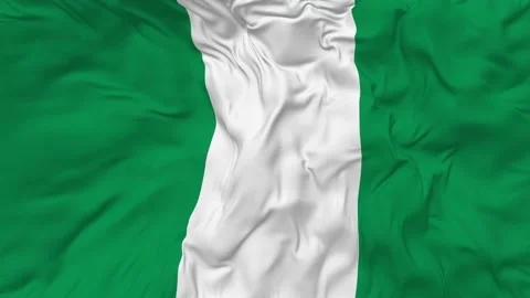 Nigeria  Flag Seamless Looping Background Waving Slow Motion Stock Footage 233856223
