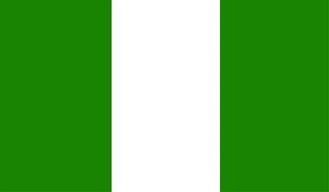 Nigeria flag vector Illustrazione stock